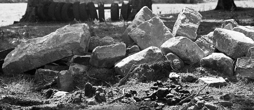 Stones in a field off Bingley Road