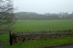 Part of Ings Field seen from Ings Lane; the Menston/Guiseley boundary defined by Mire Back along the back of houses in Moor Crescent, is at the back of the field